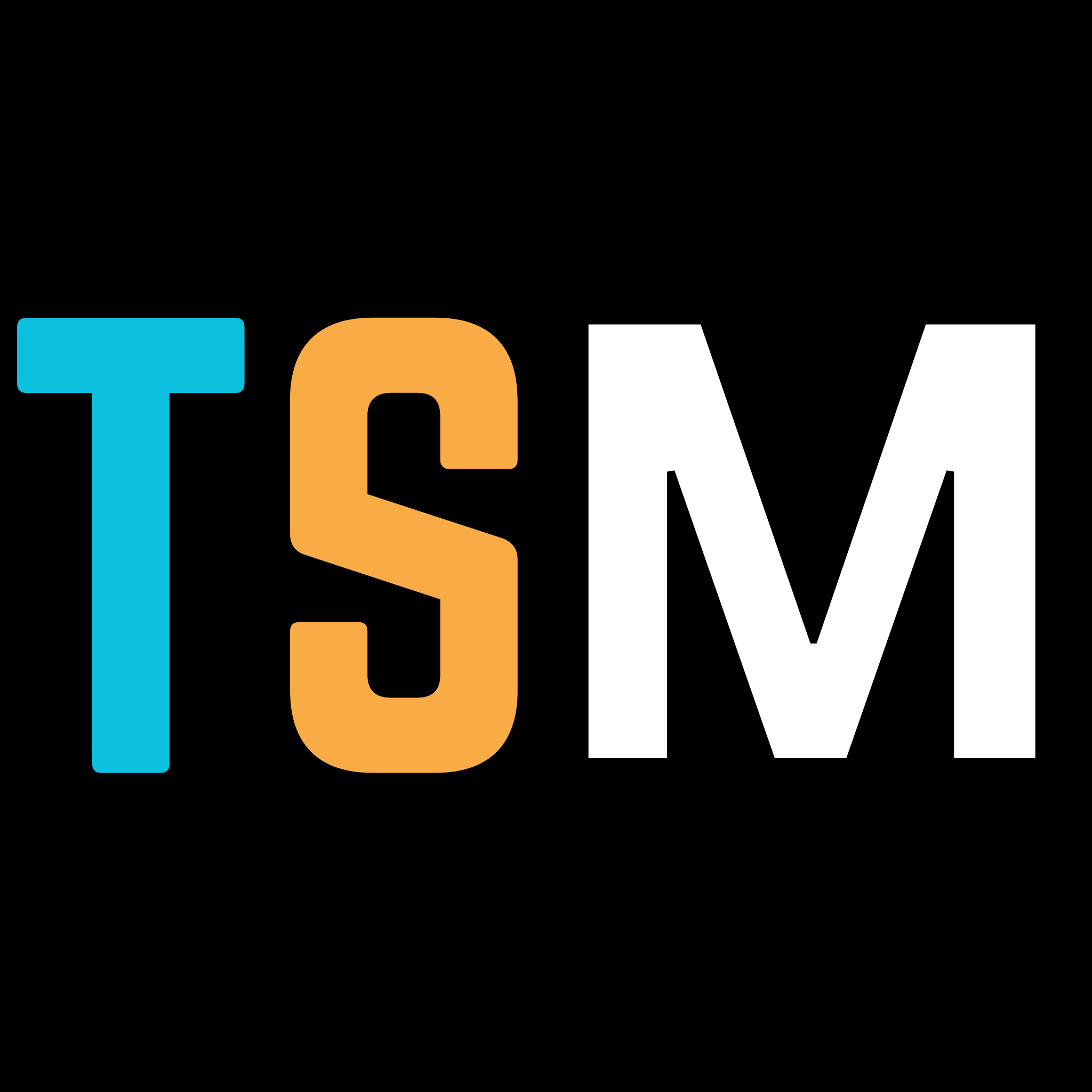 true scribe media logo